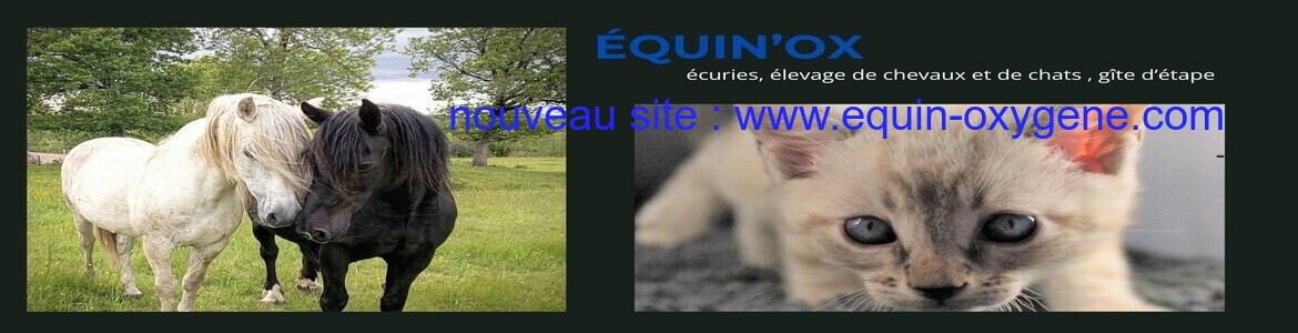 nouveau site : www.equin-oxygene.com